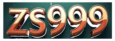 zs999 pakistan logo